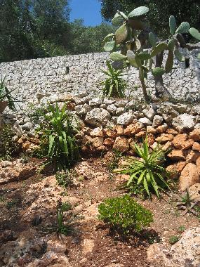 Appartement de vacances �/en/au Tricase Porto (Lecce)ou appartement ou maison de vacances