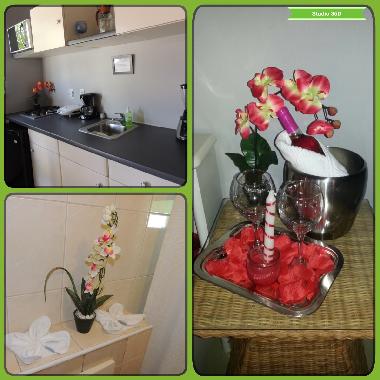 Appartement de vacances �/en/au cas cora weg (Curacao)ou appartement ou maison de vacances