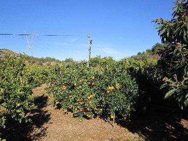 Maison de vacances �/en/au Borriol (Castell�n / Castell�)ou appartement ou maison de vacances