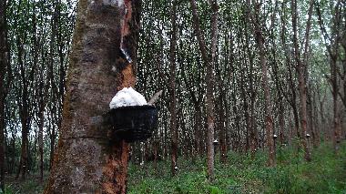 Villa �/en/au Ao Nang (Krabi)ou appartement ou maison de vacances