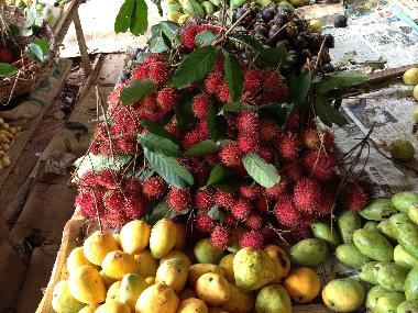 Villa /en/au Mirissa, Thalaramba (Matara)ou appartement ou maison de vacances