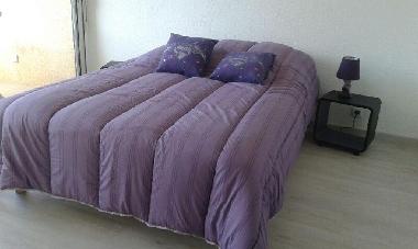 Appartement de vacances �/en/au Calvi (Haute-Corse)ou appartement ou maison de vacances