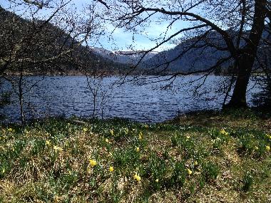 le lac de Longemer (prise le 8 avril) une des multiples promenades