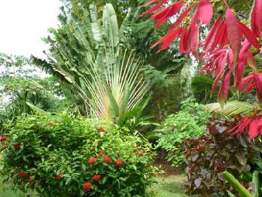 Maison de vacances �/en/au Las Terrenas (Samana)ou appartement ou maison de vacances
