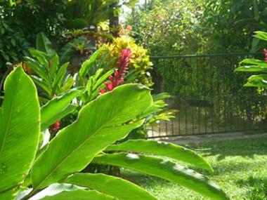 Maison de vacances �/en/au Las Terrenas (Samana)ou appartement ou maison de vacances