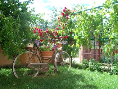 Appartement de vacances /en/au Premantura (Istarska)ou appartement ou maison de vacances