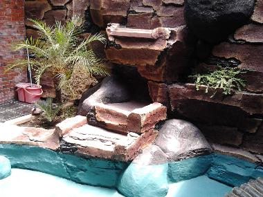 Bassin vue depuis la terrasse derri�re/ The floor behind