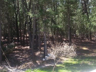 Maison de vacances �/en/au malbosc (Ard�che)ou appartement ou maison de vacances