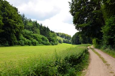 Maison de vacances /en/au Lennestadt (Sauerland)ou appartement ou maison de vacances