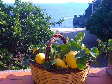 Chambre avec petit djeuner /en/au positano (Salerno)ou appartement ou maison de vacances