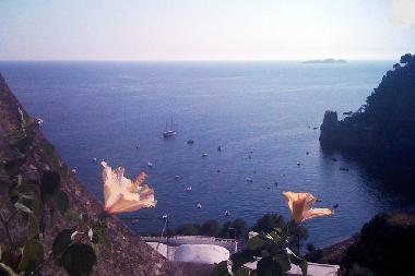 Chambre avec petit djeuner /en/au positano (Salerno)ou appartement ou maison de vacances