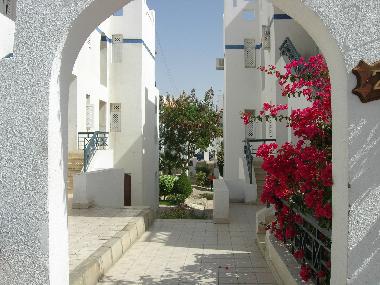 Appartement de vacances �/en/au Шарм ель (Shamal Sina