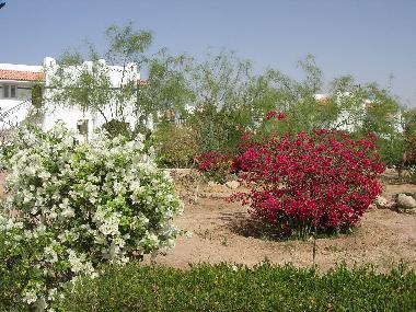 Appartement de vacances �/en/au Шарм ель (Shamal Sina