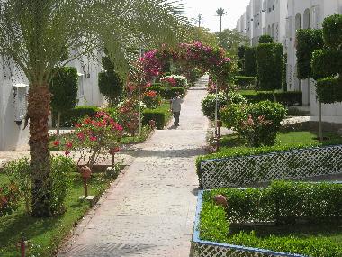 Appartement de vacances �/en/au Шарм ель (Shamal Sina