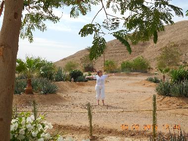 Appartement de vacances �/en/au Шарм ель (Shamal Sina