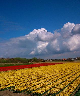 Maison de vacances �/en/au Egmond aan Zee (Noord-Holland)ou appartement ou maison de vacances