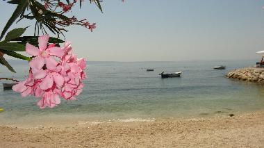 Appartement de vacances /en/au Podstrana (Splitsko-Dalmatinska)ou appartement ou maison de vacances