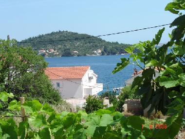 Maison de vacances �/en/au Kali auf der Insel Ugljan (Zadarska)ou appartement ou maison de vacances