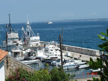 Maison de vacances �/en/au Kali auf der Insel Ugljan (Zadarska)ou appartement ou maison de vacances