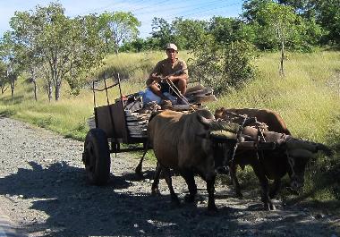 Chalet �/en/au GUARDALAVACA.HOLGUIN (Holguin)ou appartement ou maison de vacances