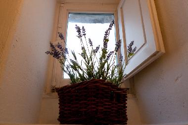 Maison de vacances /en/au Ostuni (Brindisi)ou appartement ou maison de vacances