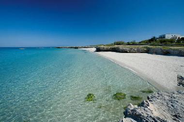 Maison de vacances /en/au Ostuni (Brindisi)ou appartement ou maison de vacances