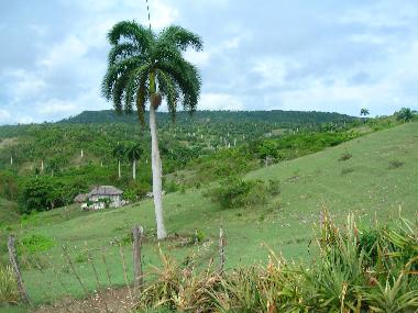 Chalet �/en/au GUARDALAVACA.HOLGUIN (Holguin)ou appartement ou maison de vacances