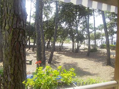 vue de la cuisine du mobil-home