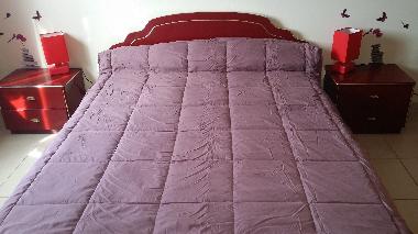 Villa /en/au saint gilles (Gard)ou appartement ou maison de vacances