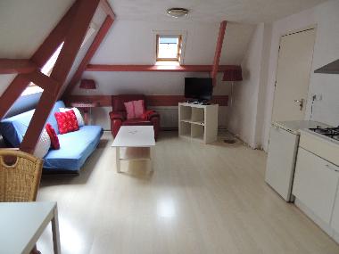 Maison de vacances /en/au Zandvoort (Noord-Holland)ou appartement ou maison de vacances