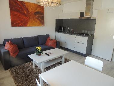Maison de vacances /en/au Zandvoort (Noord-Holland)ou appartement ou maison de vacances