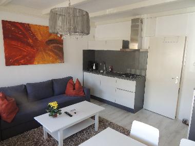 Maison de vacances /en/au Zandvoort (Noord-Holland)ou appartement ou maison de vacances