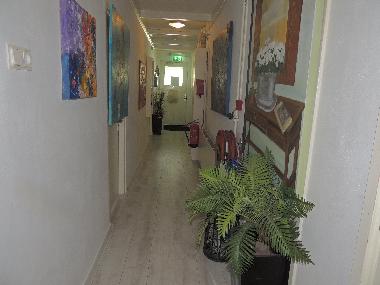 Maison de vacances /en/au Zandvoort (Noord-Holland)ou appartement ou maison de vacances