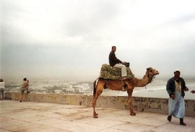 Appartement de vacances �/en/au Agadir (Agadir)ou appartement ou maison de vacances