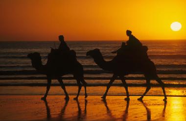 Appartement de vacances �/en/au Agadir (Agadir)ou appartement ou maison de vacances