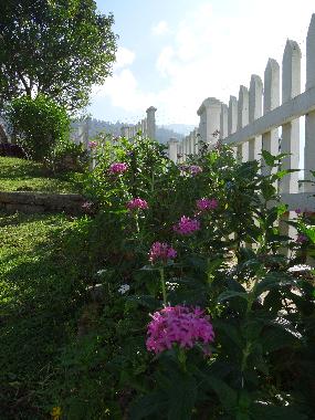 Maison de vacances /en/au Mahakanda Kandy (Kandy)ou appartement ou maison de vacances