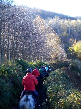 Chambre avec petit djeuner /en/au San Marco in Lamis (Foggia)ou appartement ou maison de vacances