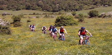 Chambre avec petit djeuner /en/au San Marco in Lamis (Foggia)ou appartement ou maison de vacances