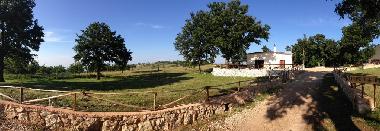 Chambre avec petit djeuner /en/au San Marco in Lamis (Foggia)ou appartement ou maison de vacances