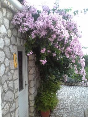 Appartement de vacances /en/au Dubrovnik (Dubrovacko-Neretvanska)ou appartement ou maison de vacances