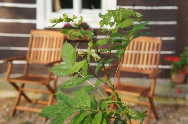 Maison de vacances �/en/au Jivka - Janovice (Kralovehradecky Kraj)ou appartement ou maison de vacances