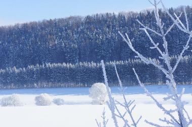 Maison de vacances �/en/au Jivka - Janovice (Kralovehradecky Kraj)ou appartement ou maison de vacances