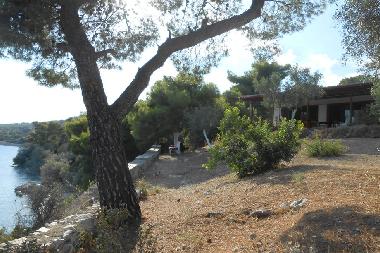 Villa /en/au Kneta (Attiki)ou appartement ou maison de vacances