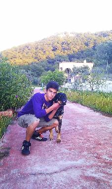 Maison de vacances /en/au AGIOI (Attiki)ou appartement ou maison de vacances