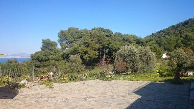 Maison de vacances /en/au AGIOI (Attiki)ou appartement ou maison de vacances