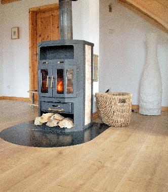 Maison de vacances /en/au 25704 (Nordsee-Festland)ou appartement ou maison de vacances