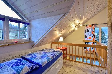 Maison de vacances /en/au Enzklsterle (Schwarzwald)ou appartement ou maison de vacances