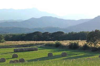 Villa /en/au Riudarenes (Girona)ou appartement ou maison de vacances