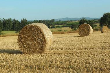 Villa /en/au Riudarenes (Girona)ou appartement ou maison de vacances