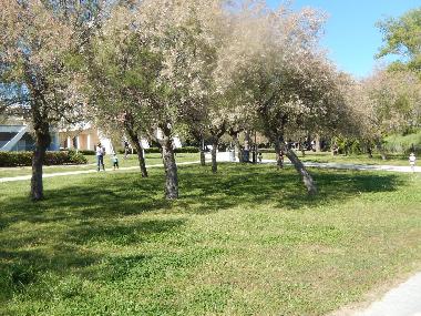 Appartement de vacances �/en/au LA GRANDE MOTTE (H�rault)ou appartement ou maison de vacances